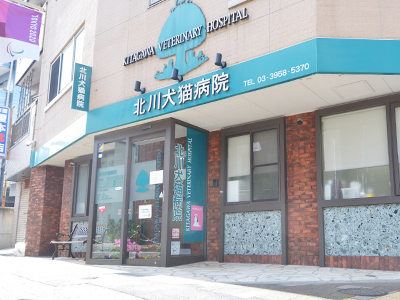 Kitagawa Animal Hospital 北川犬猫病院